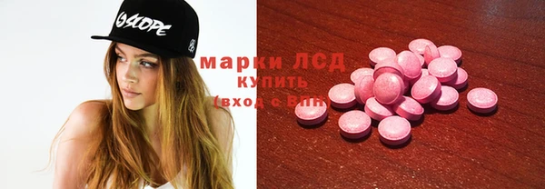 гидра Алексеевка