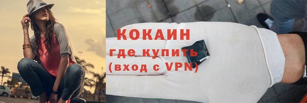 соль ск Алексин