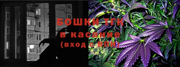 соль ск Алексин