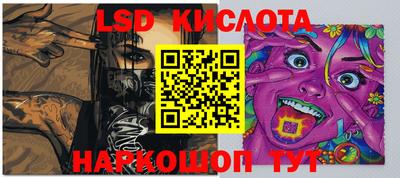 гидра Кудрово