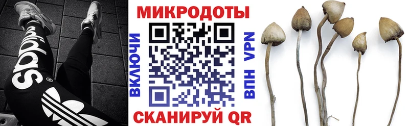 KRAKEN tor  Осинники  Псилоцибиновые грибы прущие грибы 