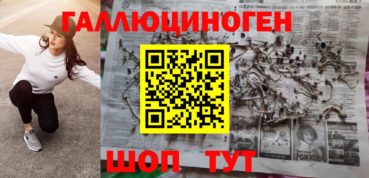 Псилоцибиновые грибы MAGIC MUSHROOMS Осинники