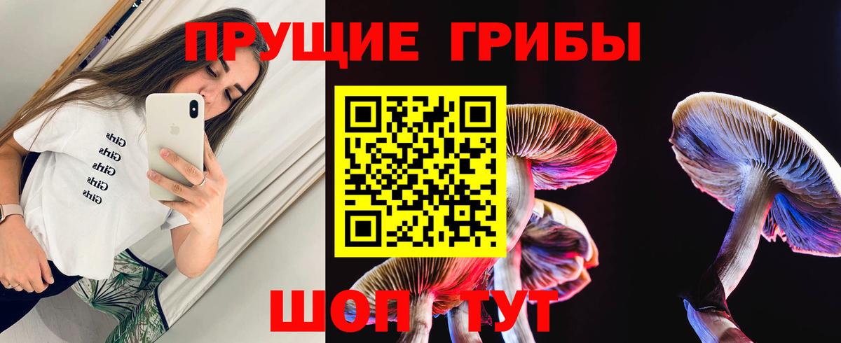 Осинники  Галлюциногенные грибы MAGIC MUSHROOMS  Псилоцибиновые грибы ЛСД  Вход с VPN 